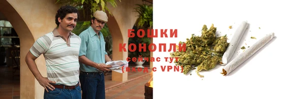 спайс Алексин
