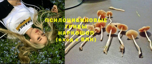 a pvp Алзамай