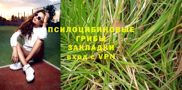 прущие грибы Алексеевка