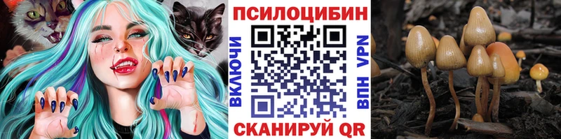 где найти наркотики  Игра  Галлюциногенные грибы GOLDEN TEACHER 